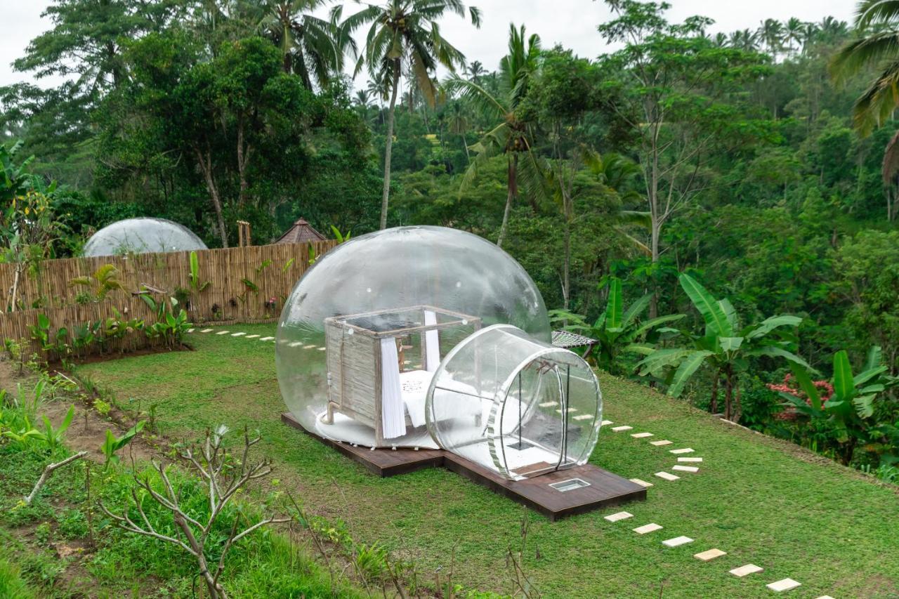 Romantic Bubble Dome Hotel Payangan Habitación foto